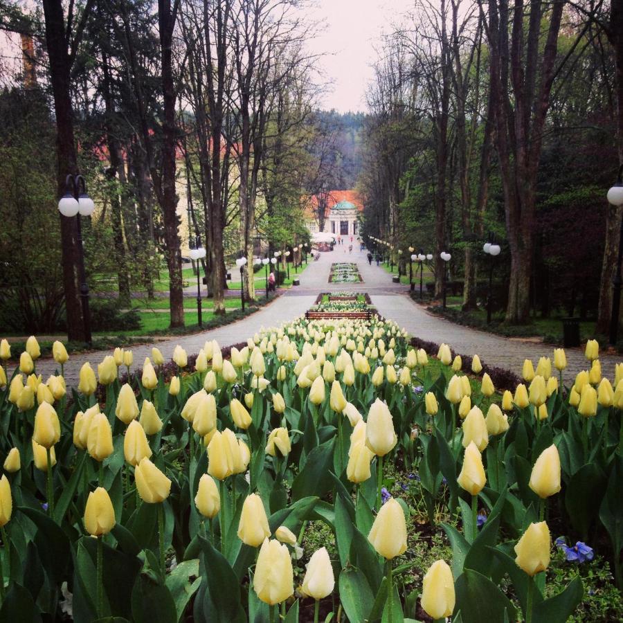 Villa Filmowiec Polanica-Zdrój Exteriér fotografie