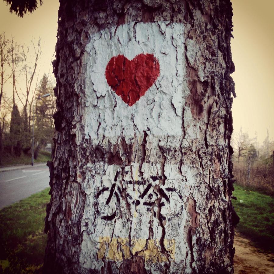Villa Filmowiec Polanica-Zdrój Exteriér fotografie