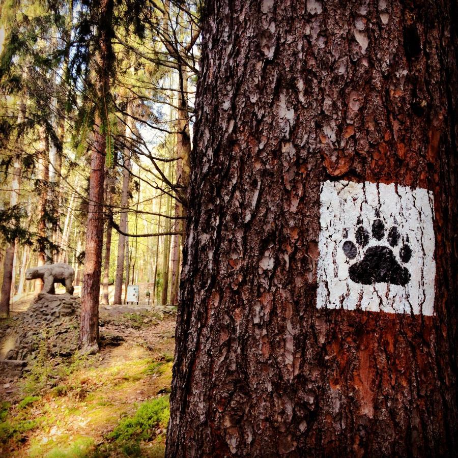 Villa Filmowiec Polanica-Zdrój Exteriér fotografie