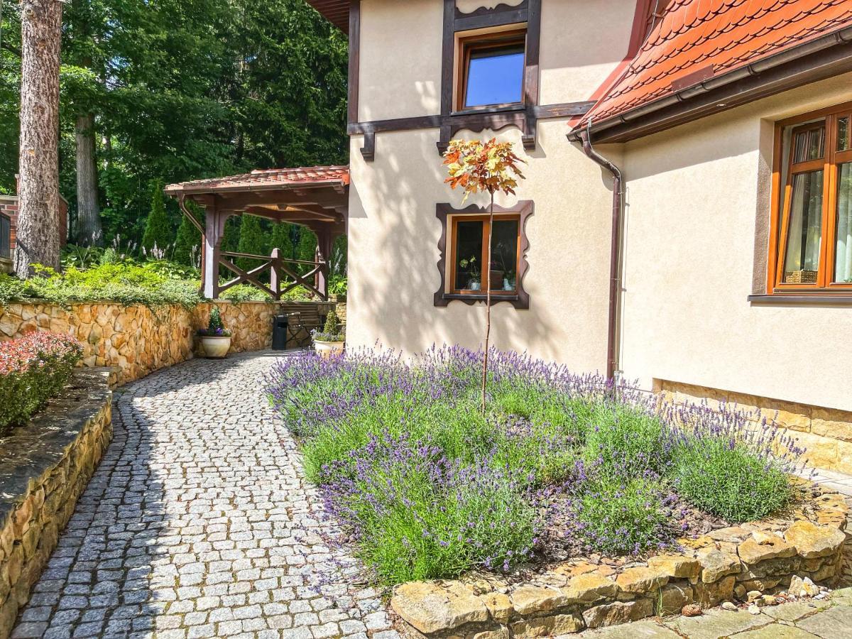 Villa Filmowiec Polanica-Zdrój Exteriér fotografie